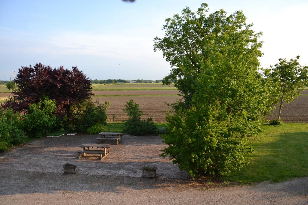 فيلا Agriturismo La Rovere Cesole المظهر الخارجي الصورة